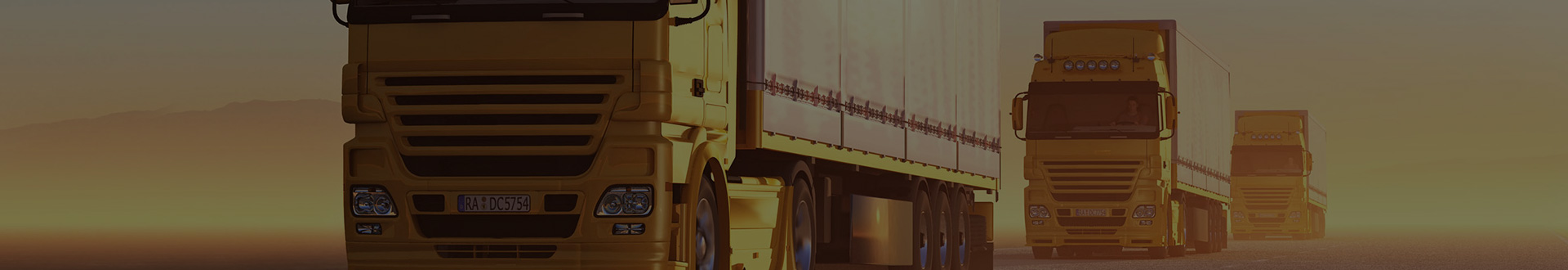 О компании «Южный транзит»